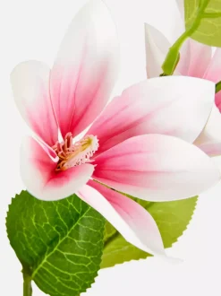 Primark Sztuczne Rośliny I Kwiaty<Sztuczna magnolia na pojedynczej łodydze